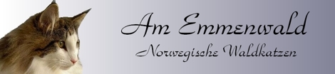 emmenwald banner