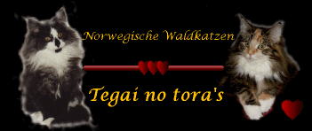 tegai_no_toras banner