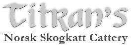 titrans banner